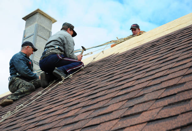 Best Roof Maintenance Services  in Loomis, CA